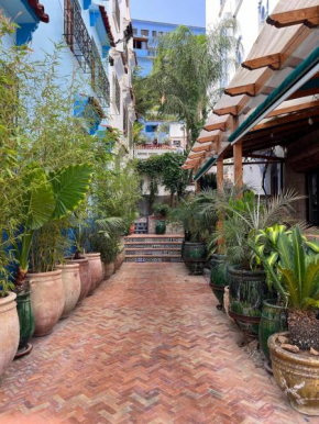 maison d'hote bien équipé au centre de chefchaouen